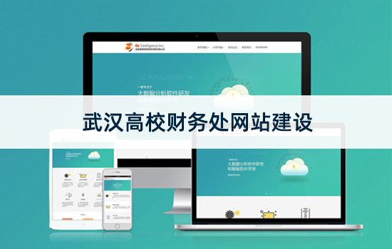 武汉高校财务处网站建设