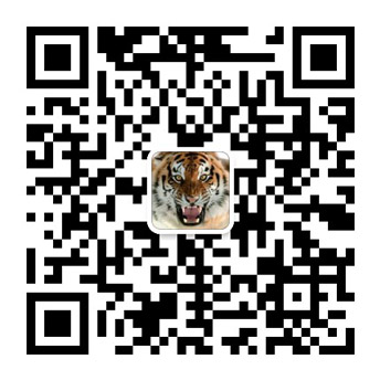 添加网站建设客服微信