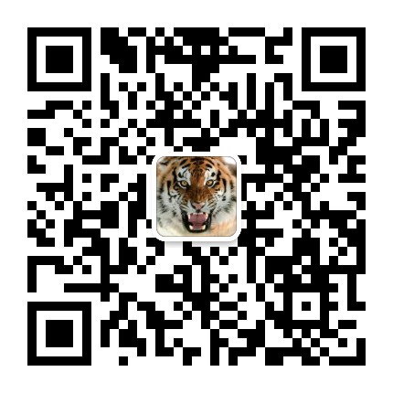 做网站的二维码