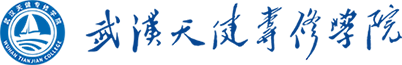 武汉天健专修学院网站建设