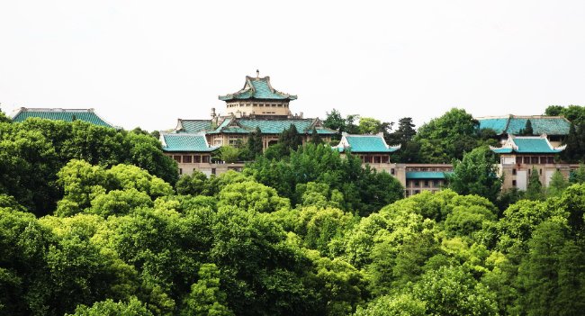 武汉高校教材征订系统网站开发哪家好