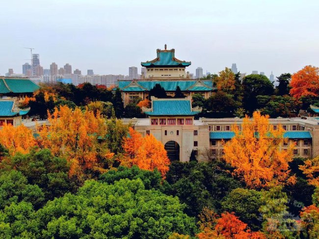 武汉高校团委特色网站建设方案推荐-3